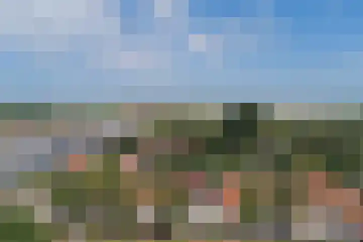 Stoofdijk 25 Stavenisse thumbnail 27