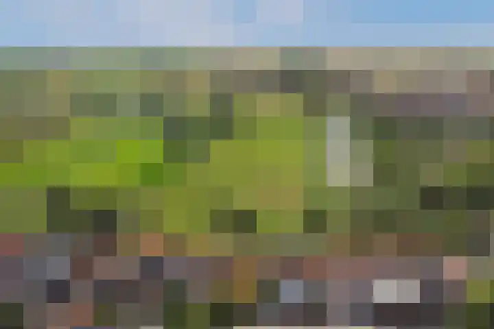 Stoofdijk 25 Stavenisse thumbnail 29