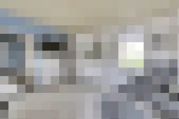 Stoofdijk 25 Stavenisse thumbnail 6