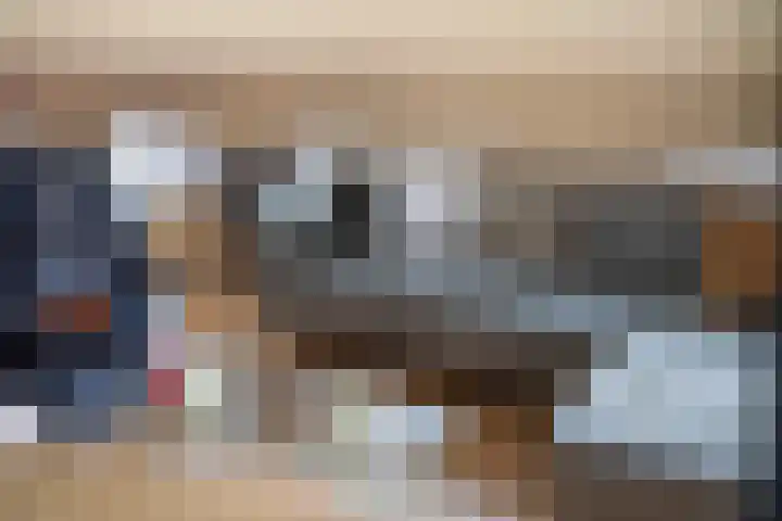 Stoofdijk 44 Dinteloord thumbnail 16