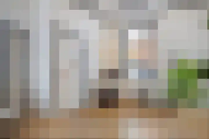 Stoofdijk 44 Dinteloord thumbnail 18