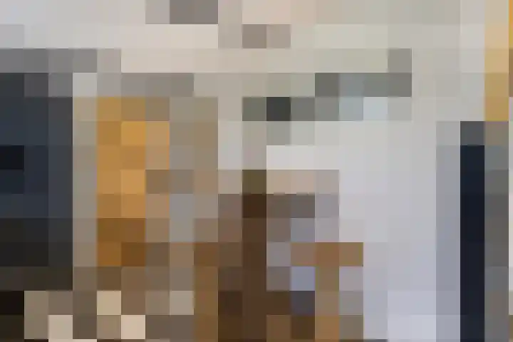 Stoofdijk 44 Dinteloord thumbnail 21