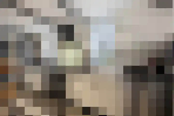Stoofdijk 44 Dinteloord thumbnail 22