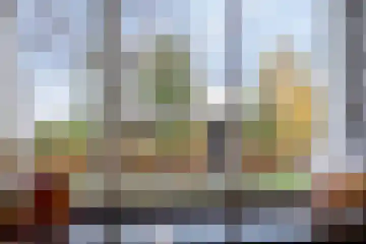 Stoofdijk 44 Dinteloord thumbnail 23