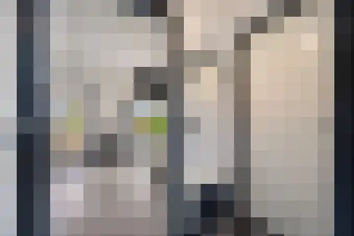 Stoofdijk 44 Dinteloord thumbnail 30