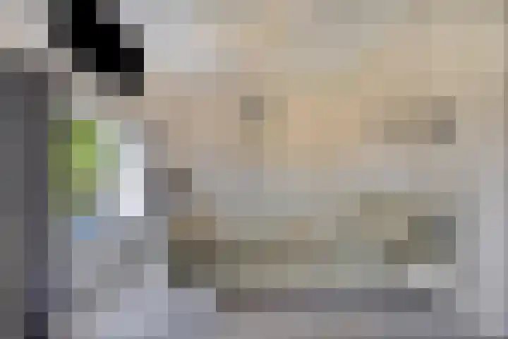 Stoofdijk 44 Dinteloord thumbnail 32