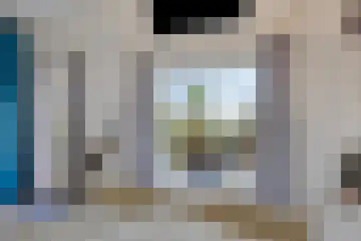 Stoofdijk 44 Dinteloord thumbnail 33