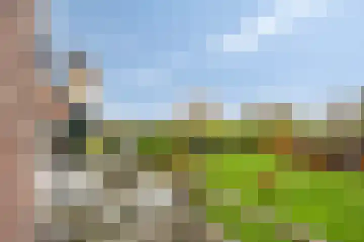 Stoofdijk 44 Dinteloord thumbnail 34