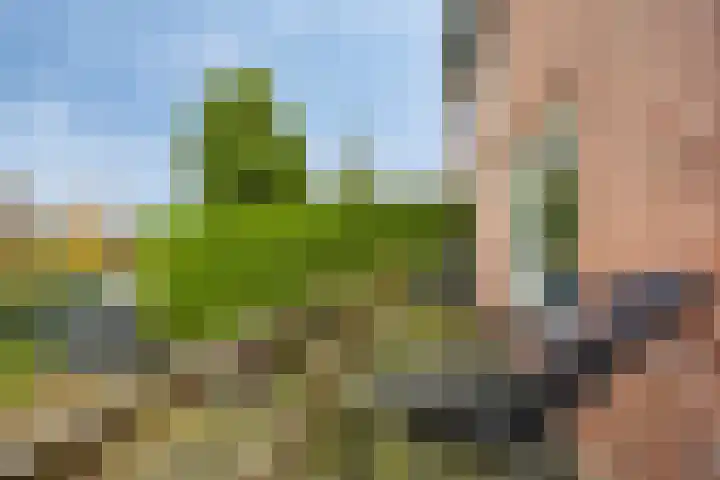 Stoofdijk 44 Dinteloord thumbnail 35