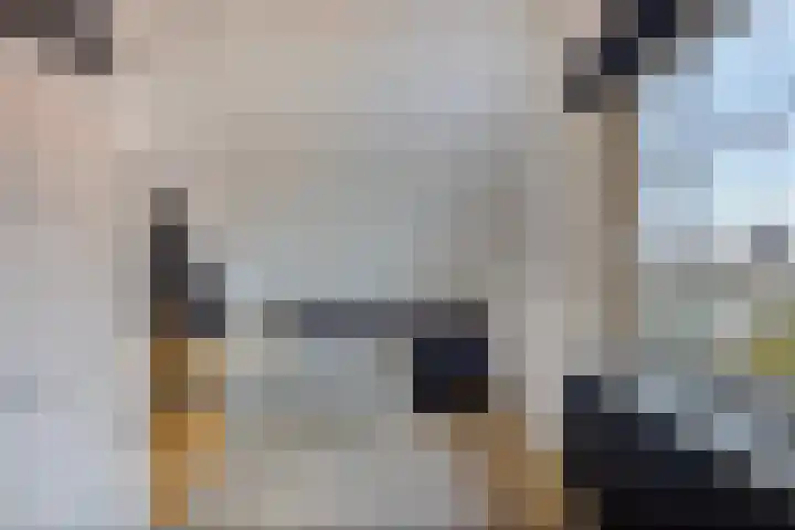Stoofdijk 44 Dinteloord thumbnail 37