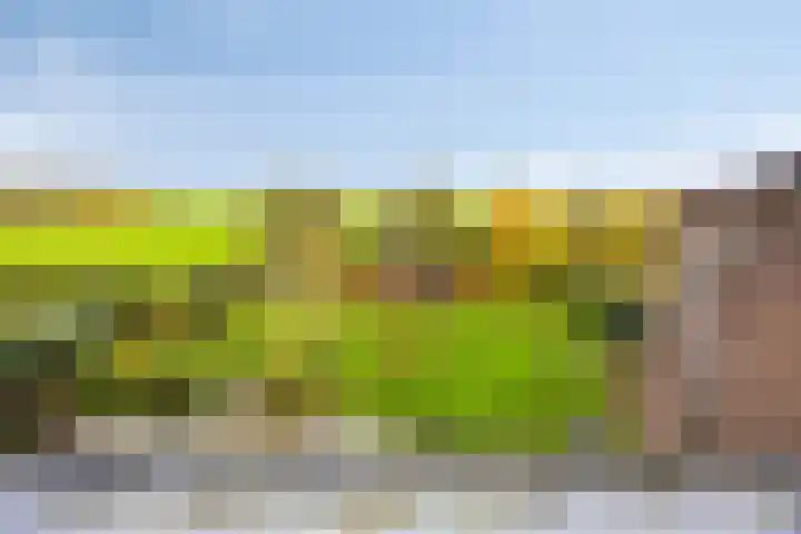 Stoofdijk 44 Dinteloord thumbnail 38