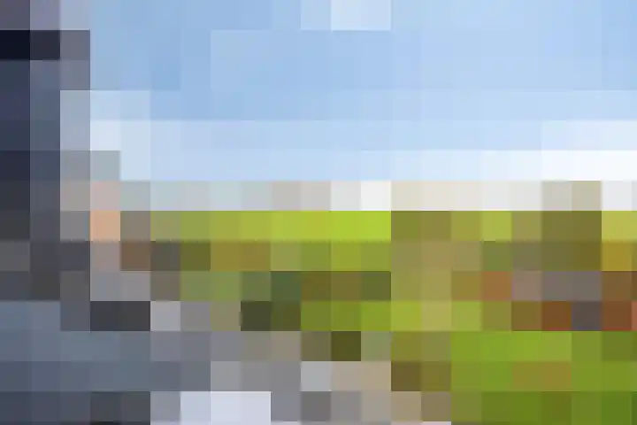 Stoofdijk 44 Dinteloord thumbnail 39