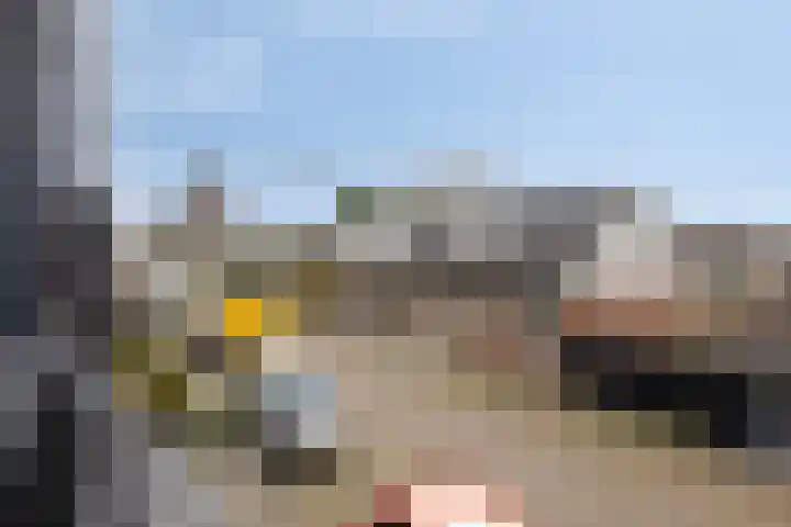Stoofdijk 44 Dinteloord thumbnail 40