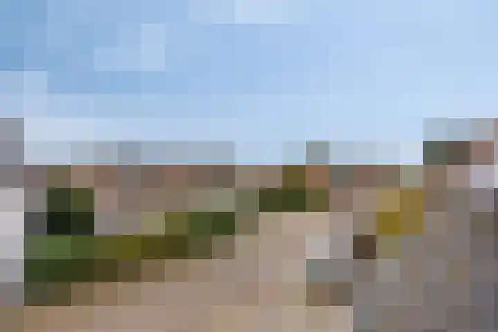 Stoofdijk 44 Dinteloord thumbnail 41
