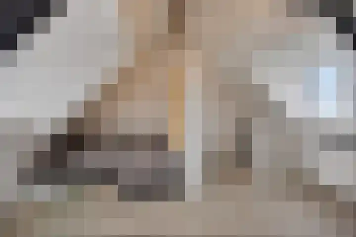 Stoofdijk 44 Dinteloord thumbnail 42