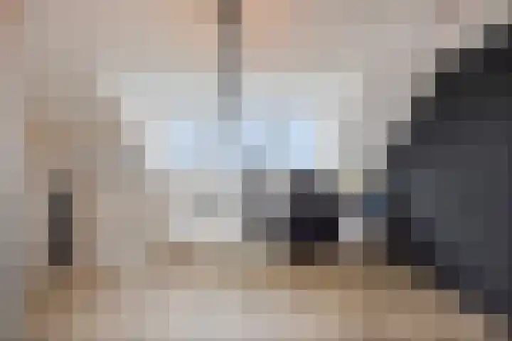 Stoofdijk 44 Dinteloord thumbnail 43