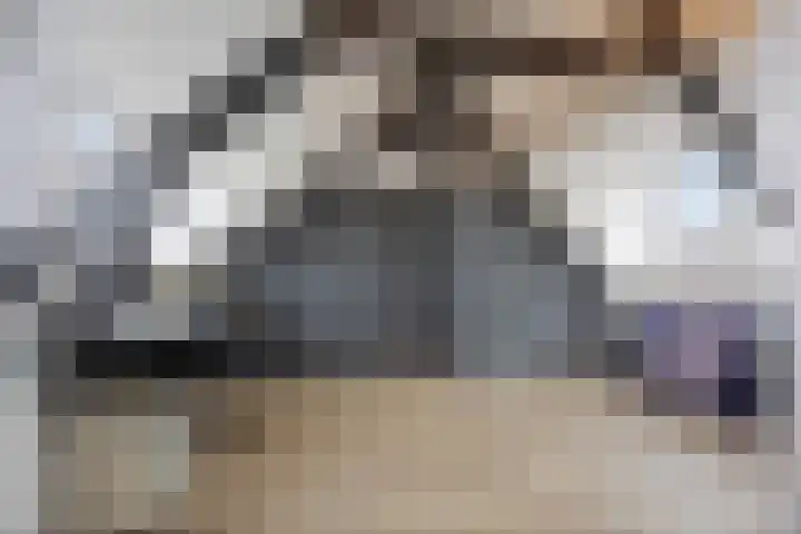 Stoofdijk 44 Dinteloord thumbnail 44