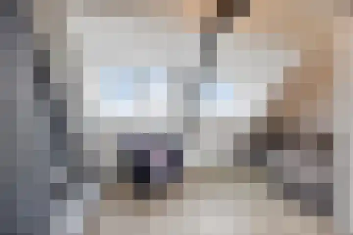 Stoofdijk 44 Dinteloord thumbnail 45