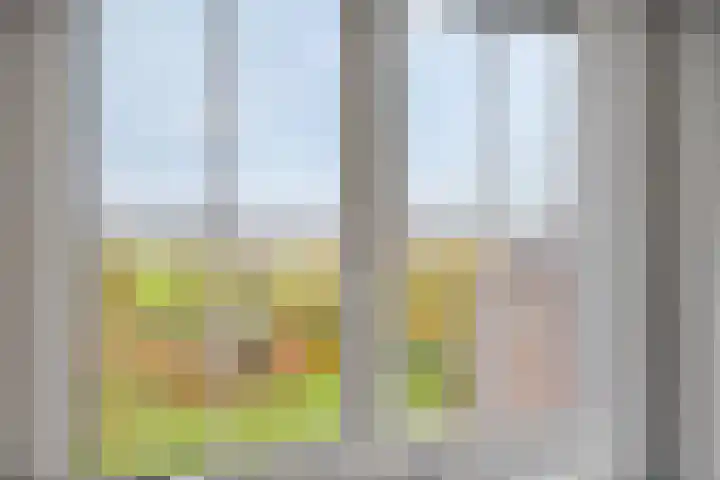 Stoofdijk 44 Dinteloord thumbnail 50