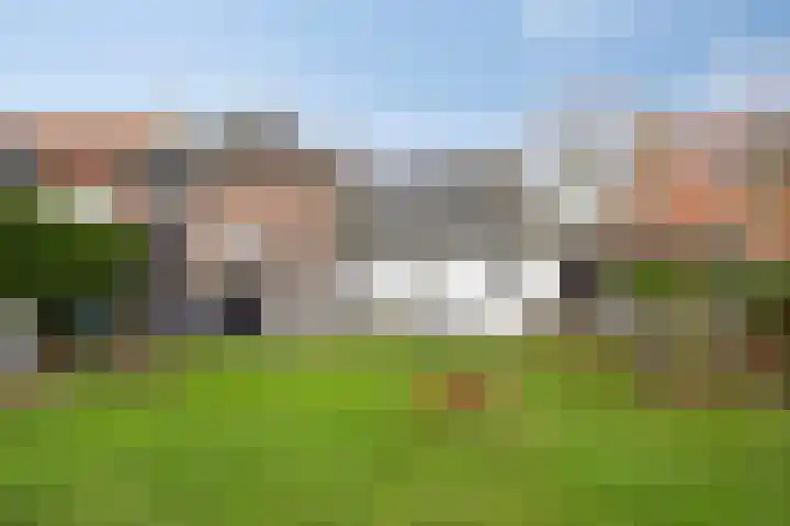 Stoofdijk 44 Dinteloord thumbnail 51