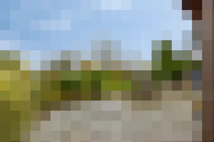 Stoofdijk 44 Dinteloord thumbnail 52