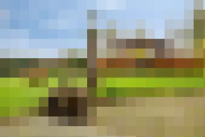 Stoofdijk 44 Dinteloord thumbnail 54