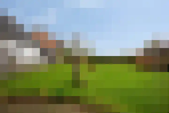 Stoofdijk 44 Dinteloord thumbnail 55