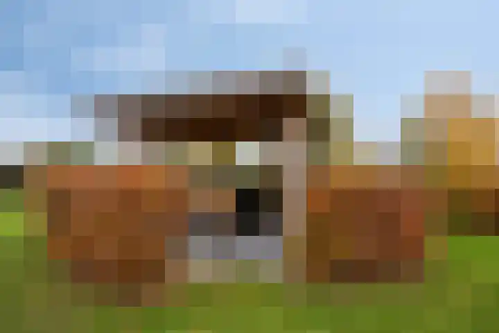 Stoofdijk 44 Dinteloord thumbnail 56