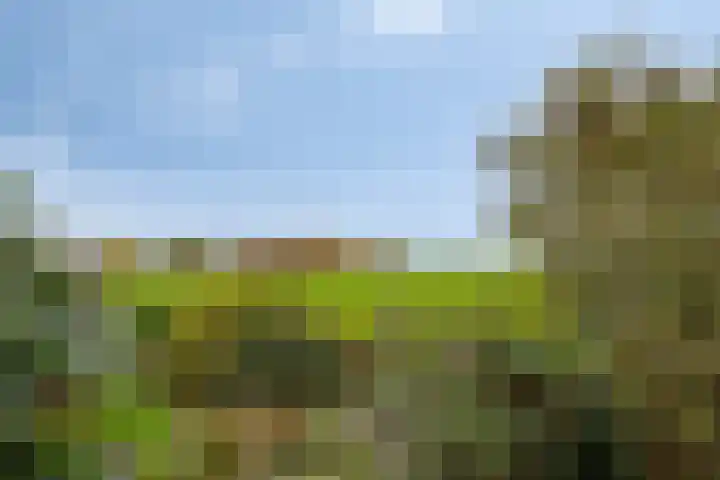 Stoofdijk 44 Dinteloord thumbnail 57
