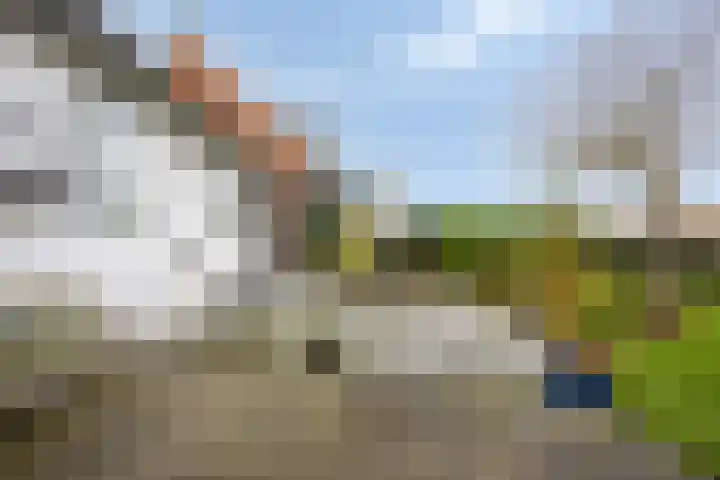 Stoofdijk 44 Dinteloord thumbnail 58