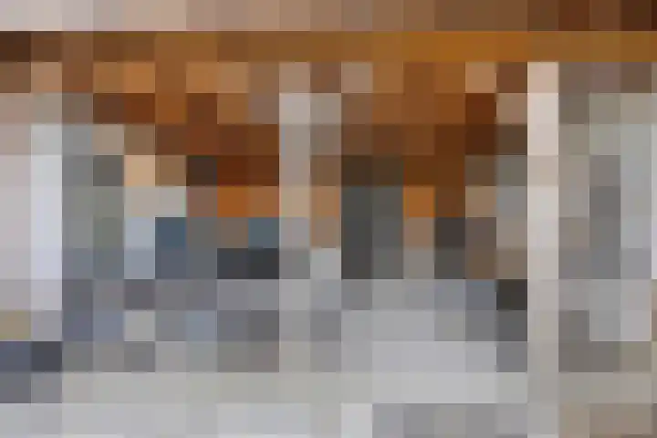 Stoofdijk 44 Dinteloord thumbnail 59