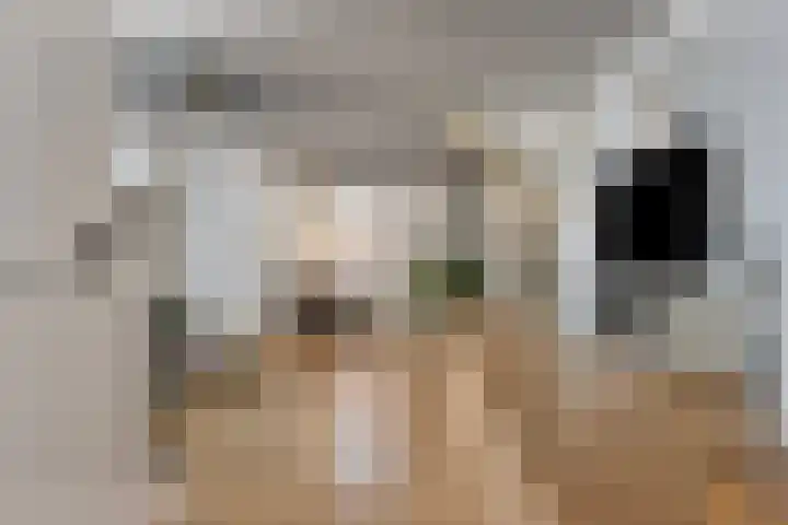 Stoofdijk 44 Dinteloord thumbnail 6