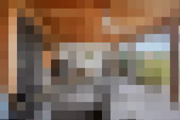 Stoofdijk 44 Dinteloord thumbnail 60