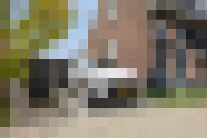 Stoofdijk 44 Dinteloord thumbnail 64
