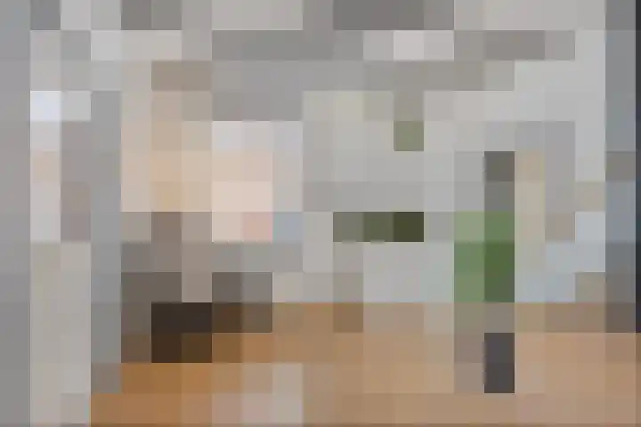 Stoofdijk 44 Dinteloord thumbnail 7