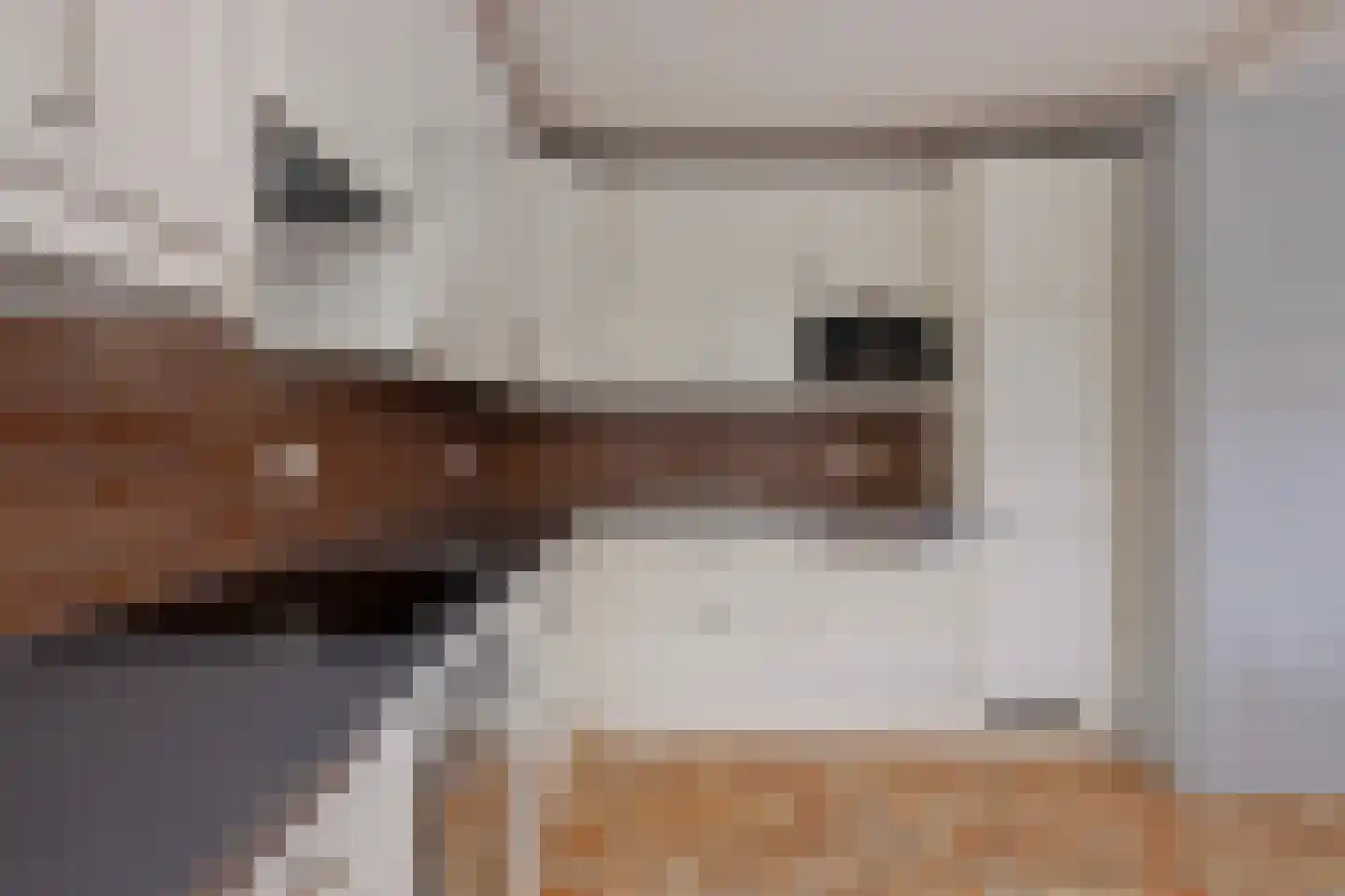 Stoofdijk 6 Stavenisse thumbnail 16