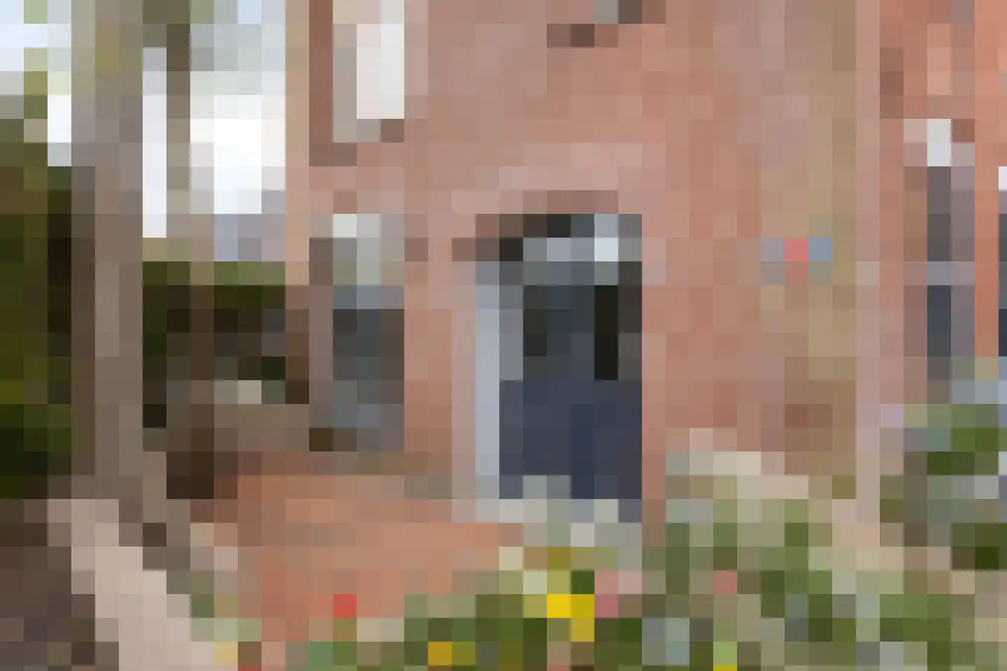 Stoofdijk 6 Stavenisse thumbnail 47