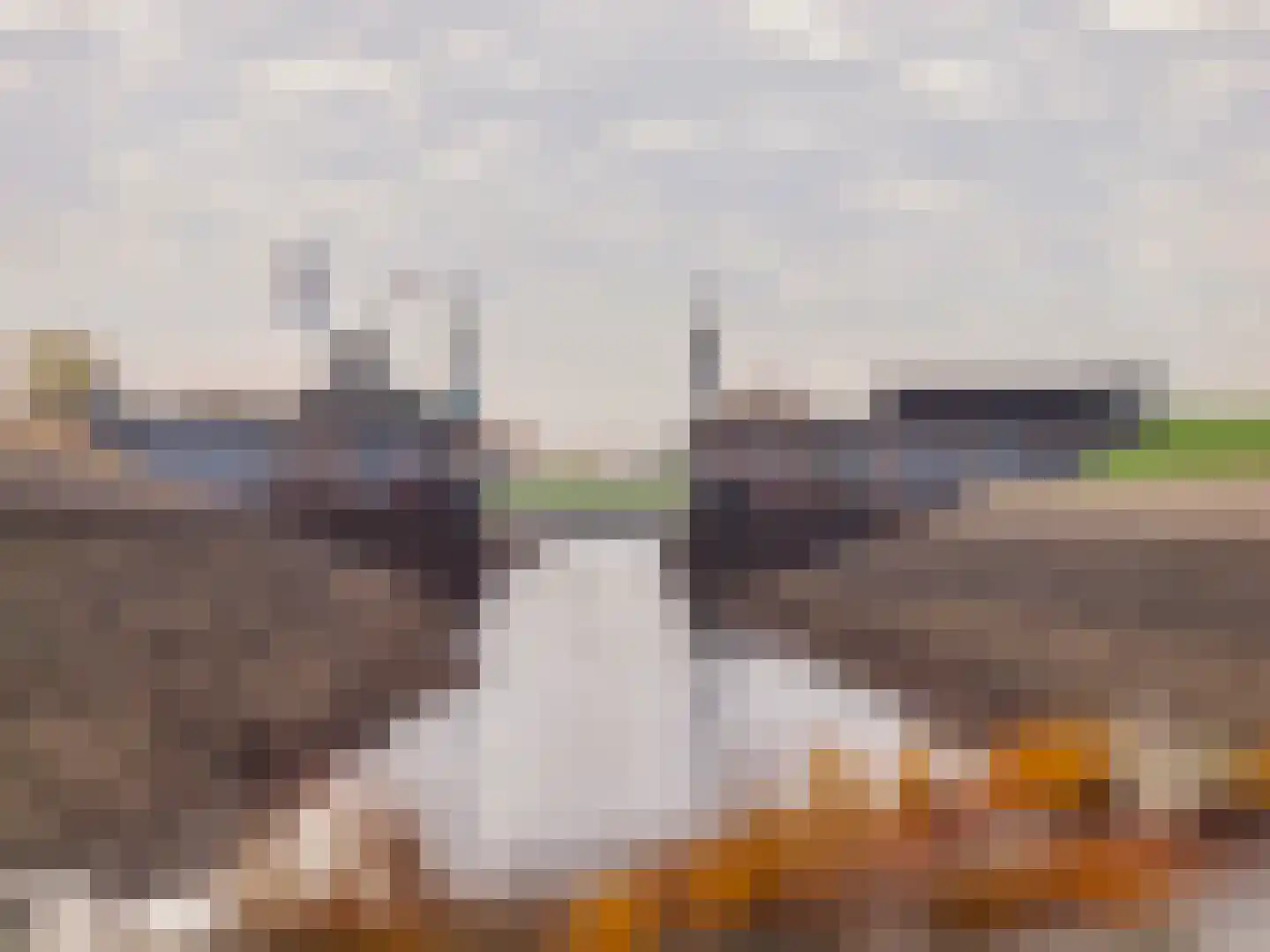 Stoofdijk 6 Stavenisse thumbnail 55