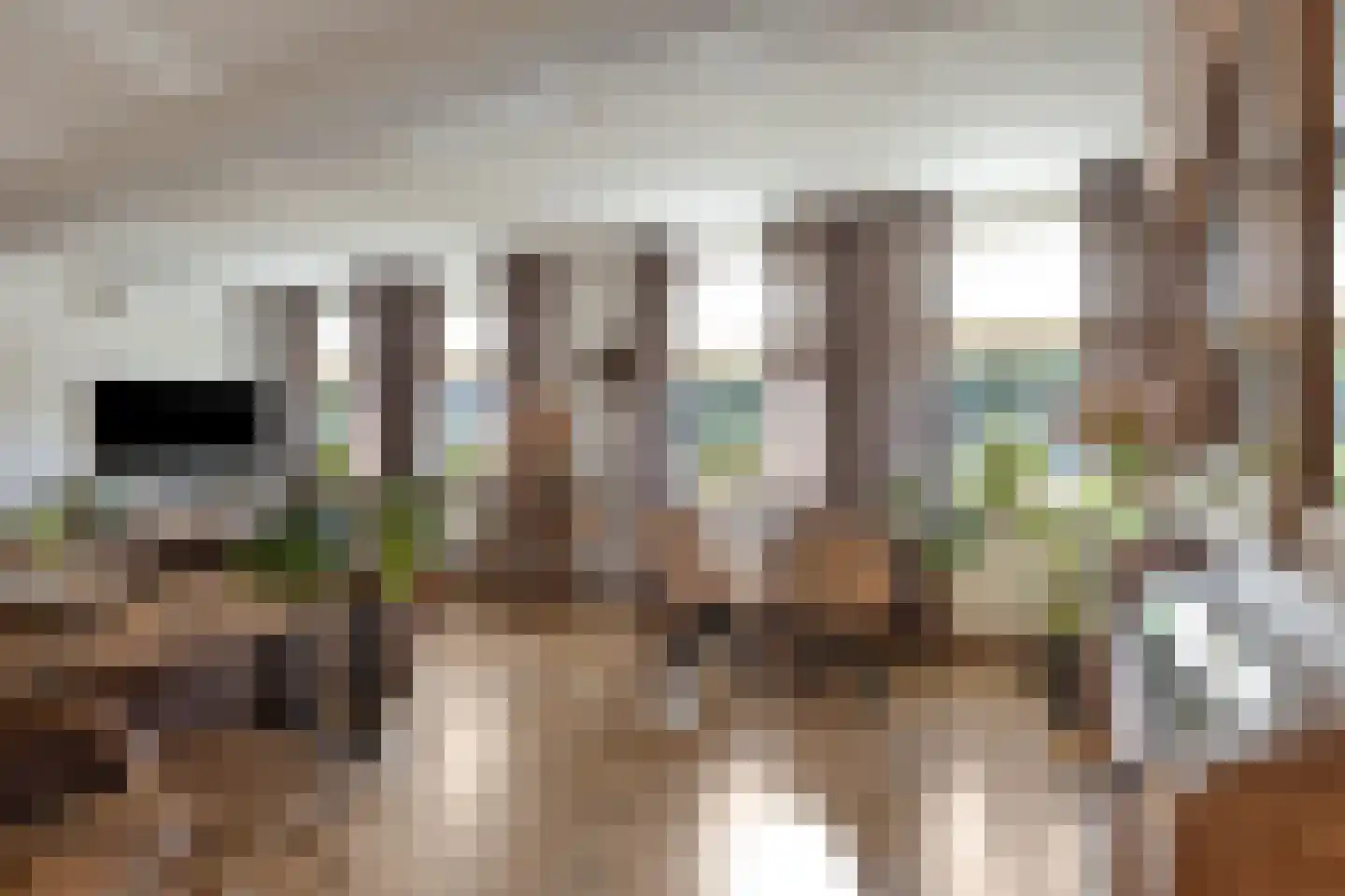 Stoofdijk 60 Dinteloord thumbnail 12