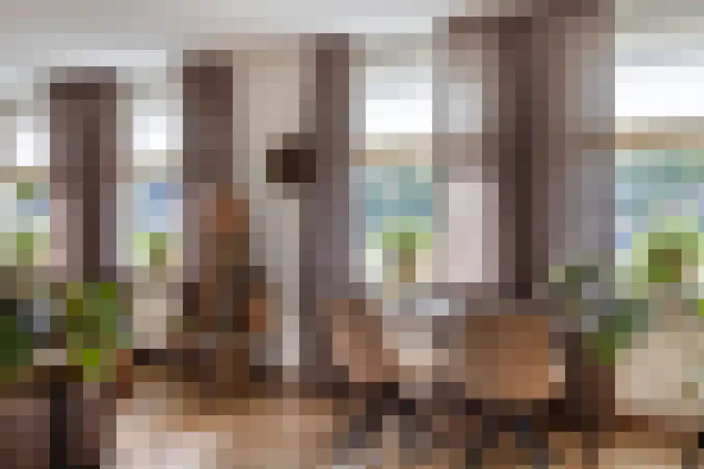 Stoofdijk 60 Dinteloord thumbnail 13