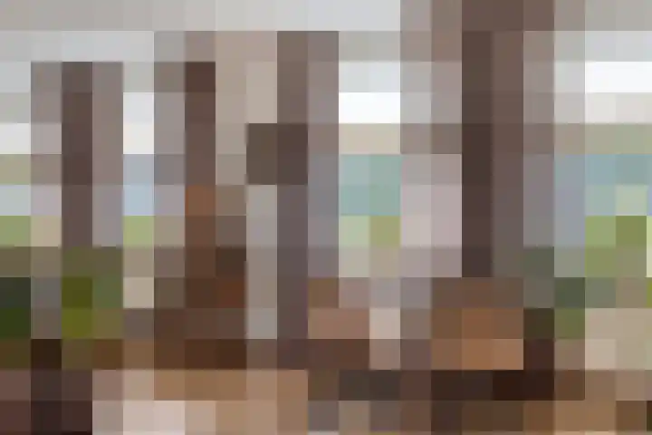 Stoofdijk 60 Dinteloord thumbnail 13