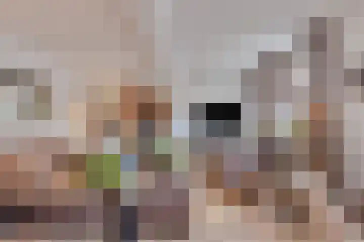 Stoofdijk 60 Dinteloord thumbnail 14