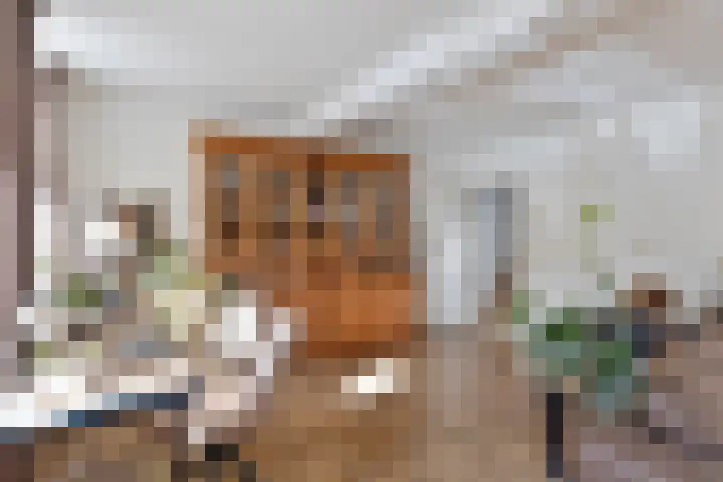 Stoofdijk 60 Dinteloord thumbnail 17