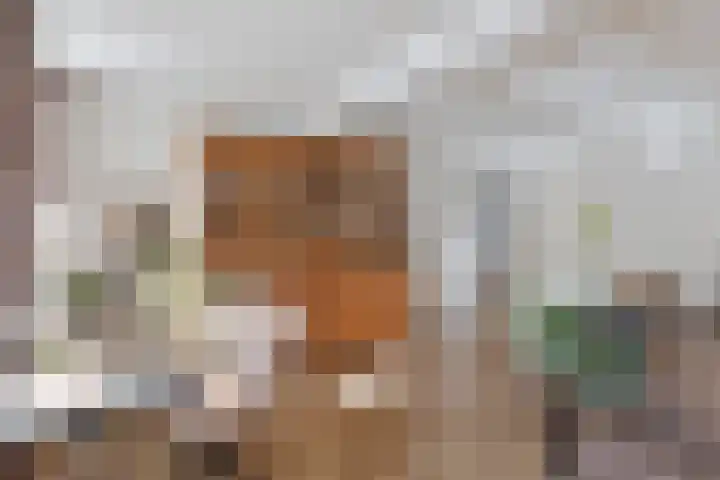Stoofdijk 60 Dinteloord thumbnail 17