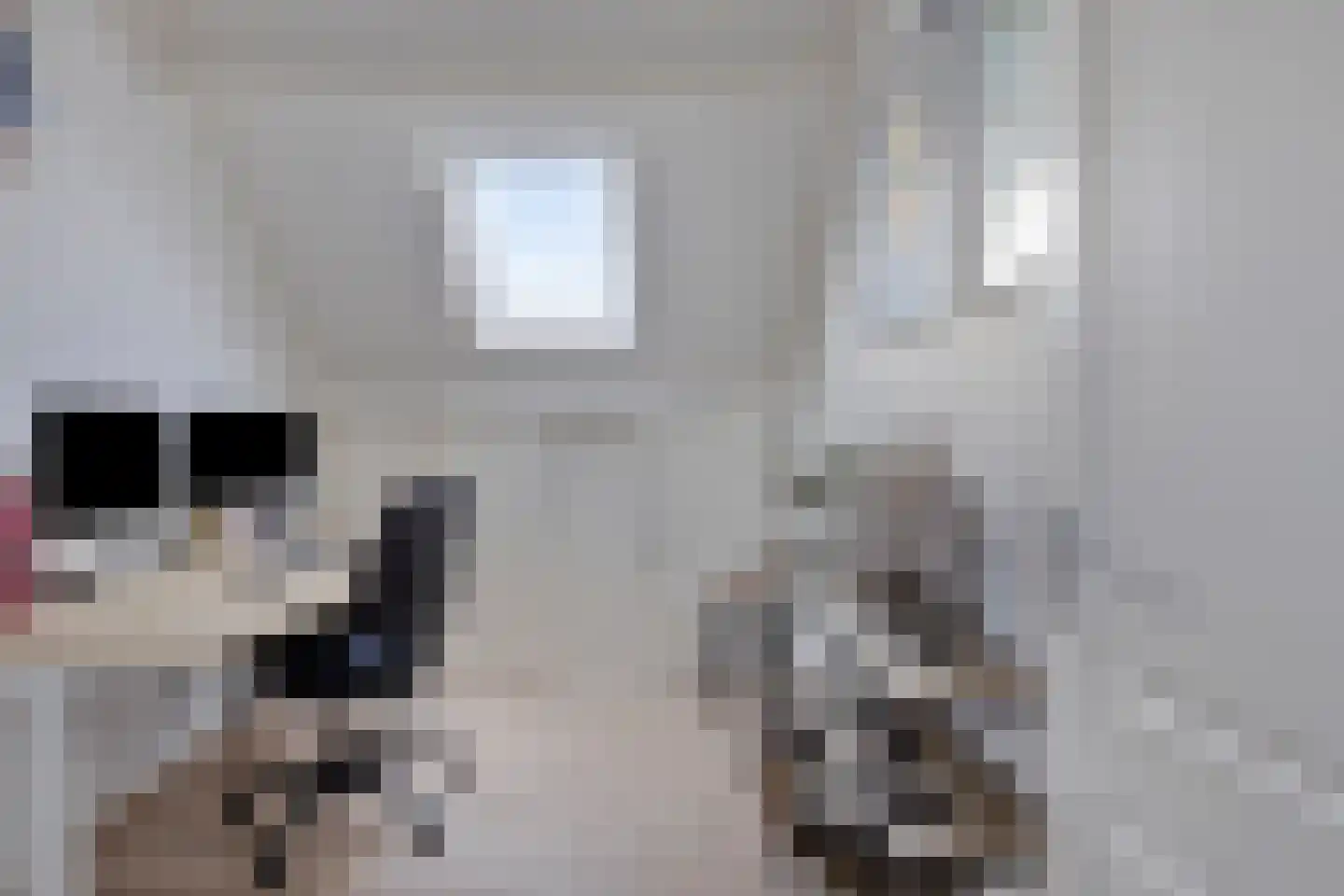Stoofdijk 60 Dinteloord thumbnail 25
