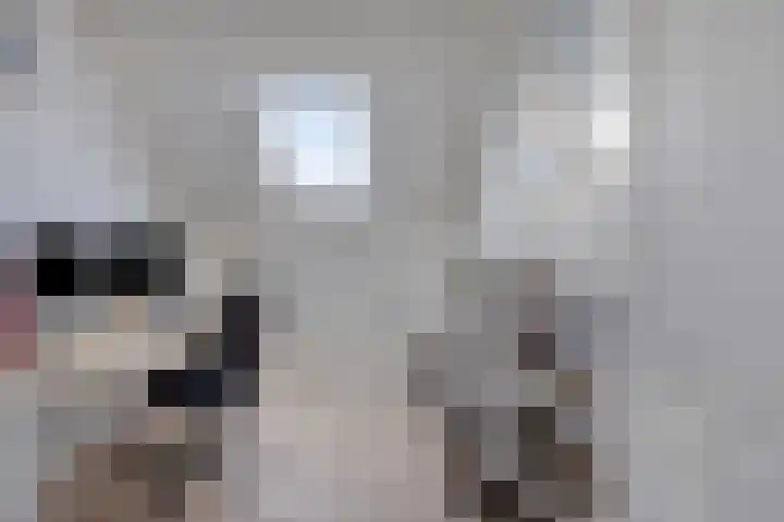 Stoofdijk 60 Dinteloord thumbnail 25
