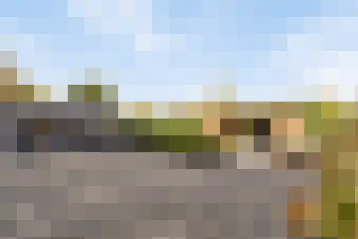 Stoofdijk 60 Dinteloord thumbnail 27