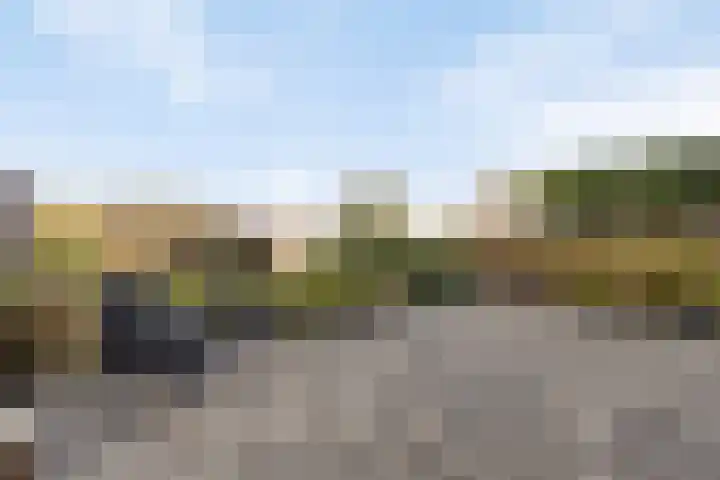 Stoofdijk 60 Dinteloord thumbnail 28