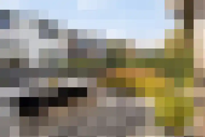 Stoofdijk 60 Dinteloord thumbnail 32