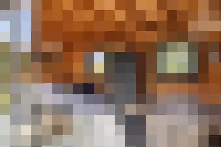 Stoofdijk 60 Dinteloord thumbnail 34